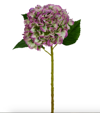 19" Real Touch Purple and Green Hydrangea Stem