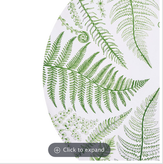 Set of 12 Fern Paper Placemat