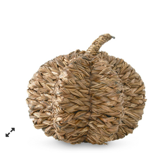 Papyrus Reed Pumpkin