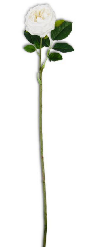 White Real Touch Austin Rose Stem - 24"