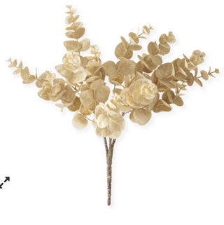 Eucalyptus Sprig
