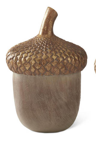 Large Woodgrain Acorns w/ Gold Top